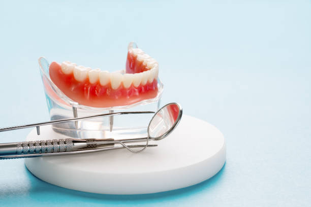 Trusted Wheaton, IL Holistic Dental Care Services Experts